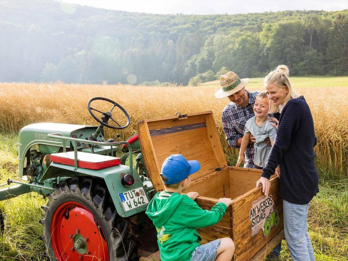 An Webers Stoag * Geisingen